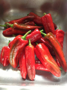 Photograph of sweet red peppers.