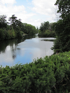 Lake surrounding by trees and other greenery; blue sky and clouds are reflected in the lake
