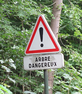 Triangular sign with exclamation point in the center and the words "Arbre dangereux" underneath